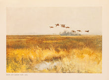 Load image into Gallery viewer, RUSSOW, Dr K.E. Bruno Liljefors. An appreciation.
