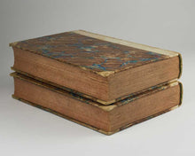 Load image into Gallery viewer, WILLIAMS, John. The Natural History of the Mineral Kingdom, relative to the strata of coal, mineral veins, and the prevailing strata of the globe.