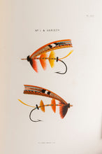 Load image into Gallery viewer, SANDEMAN, Fraser. By Hook and By Crook.