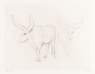 THEYS, Freddy. Ankole Watusi Cattle.