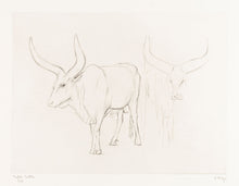 Load image into Gallery viewer, THEYS, Freddy. Ankole Watusi Cattle.