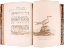 Load image into Gallery viewer, A Voyage Round the World; but more Particularly to the North …