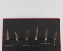 Load image into Gallery viewer, ELDER, Frank The Book of the Hackle