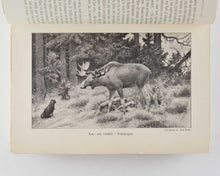 Load image into Gallery viewer, LAGERLÖF, Selma (author). Nils Holgerssons Underbara Resa Genom Sverige. Forsta Bandet [and] Andra Bandet. [The Wonderful Adventures of Nils. First and Second Series].