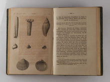 Load image into Gallery viewer, BASINER, Theodor Friedrich Julius. Naturwissenschaftliche Reise durch die Kirgisensteppe nach Chiwa. [[bmid:2110601g]]