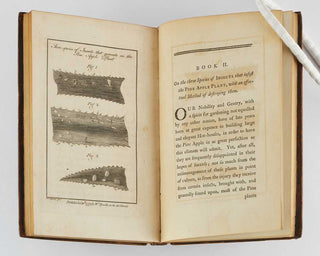 SPEECHLY, William. Treatise on the Culture of the Pine Apple and the Management of the Hot-House. Together with a Description of Every Species of Insect that Infest Hot-Houses, with Effectual Methods of Destroying Them. [[bmid:2110857b]]