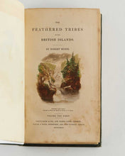 Load image into Gallery viewer, MUDIE, Robert. The Feathered Tribes of the British Islands.