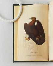 Load image into Gallery viewer, MUDIE, Robert. The Feathered Tribes of the British Islands.