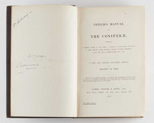 Load image into Gallery viewer, KENT, Adolphus H[enry]. Veitch's Manual of the Coniferae. [[bmid:2114680a]]