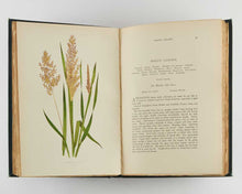 Load image into Gallery viewer, LOWE, E.J. A Natural History of British Grasses.