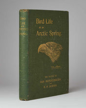 Load image into Gallery viewer, Bird Life in an Arctic Spring
