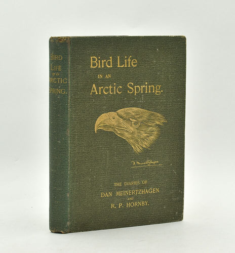 Bird Life in an Arctic Spring