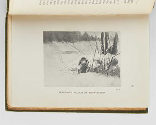 MEINERTZHAGEN, Dan, and R. P. Hornby. Bird Life in an Arctic Spring.