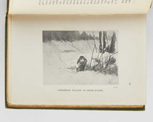 Load image into Gallery viewer, MEINERTZHAGEN, Dan, and R. P. Hornby. Bird Life in an Arctic Spring.