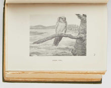 Load image into Gallery viewer, MEINERTZHAGEN, Dan, and R. P. Hornby. Bird Life in an Arctic Spring.