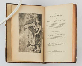 BEALE, Thomas. The Natural History of the Sperm Whale ... To Which is Added, A Sketch of a South-Sea Whaling Voyage.