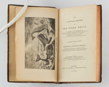 Load image into Gallery viewer, BEALE, Thomas. The Natural History of the Sperm Whale ... To Which is Added, A Sketch of a South-Sea Whaling Voyage.
