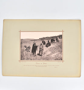 Palestine [cover title …