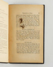 Load image into Gallery viewer, PRITT, T.E. North-Country Flies.