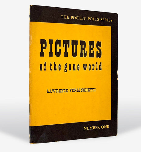 Pictures of the Gone World