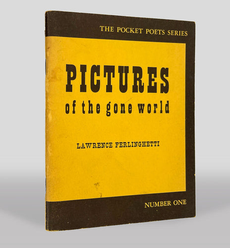 Pictures of the Gone World