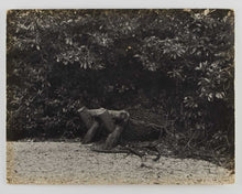 Load image into Gallery viewer, LAWRENCE, T.E. Seven Pillars of Wisdom a triumph.