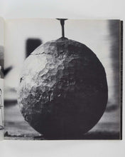 Load image into Gallery viewer, BÉAR, Liza, and Willoughby SHARP ( editors ). Avalanche Magazine, Issues 1–6.