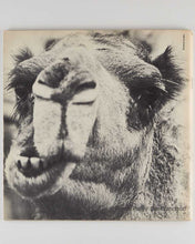 Load image into Gallery viewer, BÉAR, Liza, and Willoughby SHARP ( editors ). Avalanche Magazine, Issues 1–6.