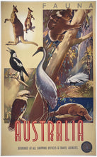 Load image into Gallery viewer, NORTHFIELD, James (1887-1973). Australia, Fauna.