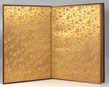 Load image into Gallery viewer, BAIRD, Mrs W.J. The Twentieth Century Retractor, Chess Fantasies, and Letter Problems.