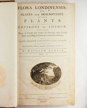 Load image into Gallery viewer, Flora Londinensis: or, plates and descriptions of such plants as grow …