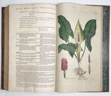 Load image into Gallery viewer, Flora Londinensis: or, plates and descriptions of such plants as grow …