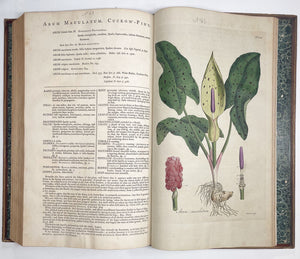 Flora Londinensis: or, plates and descriptions of such plants as grow …