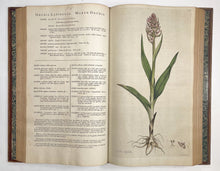 Load image into Gallery viewer, Flora Londinensis: or, plates and descriptions of such plants as grow …