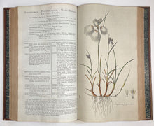 Load image into Gallery viewer, Flora Londinensis: or, plates and descriptions of such plants as grow …