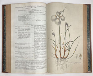 Flora Londinensis: or, plates and descriptions of such plants as grow …