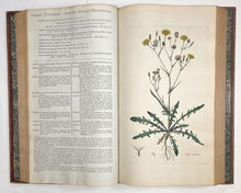 Load image into Gallery viewer, Flora Londinensis: or, plates and descriptions of such plants as grow …