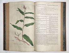 Load image into Gallery viewer, Flora Londinensis: or, plates and descriptions of such plants as grow …