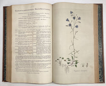 Load image into Gallery viewer, Flora Londinensis: or, plates and descriptions of such plants as grow …