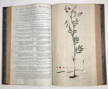 Load image into Gallery viewer, Flora Londinensis: or, plates and descriptions of such plants as grow …