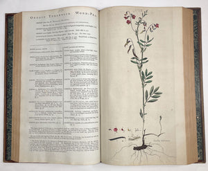 Flora Londinensis: or, plates and descriptions of such plants as grow …