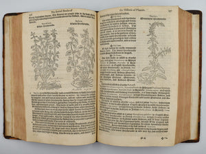 A Nievve Herball, or historie of plantes: wherin is contayned the …