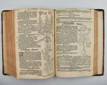 Load image into Gallery viewer, A Nievve Herball, or historie of plantes: wherin is contayned the …