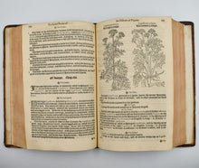 Load image into Gallery viewer, A Nievve Herball, or historie of plantes: wherin is contayned the …