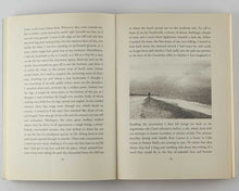Load image into Gallery viewer, SEBALD, W.G.; Michael HULSE ( translator ). The Rings of Saturn. [[bmid:2121763a]]