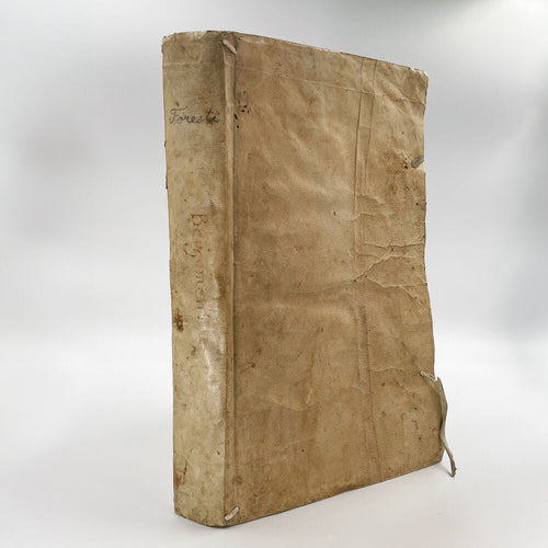 Supplementum chronicarum
