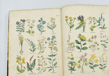 Load image into Gallery viewer, Complete Herbal, to which is now added, upwards of one hundred …