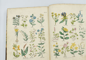 Complete Herbal, to which is now added, upwards of one hundred …