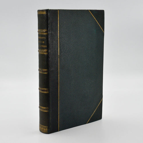 British Wild Flowers; Described, with an Introduction and a Key to …
