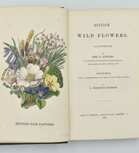 Load image into Gallery viewer, British Wild Flowers; Described, with an Introduction and a Key to …